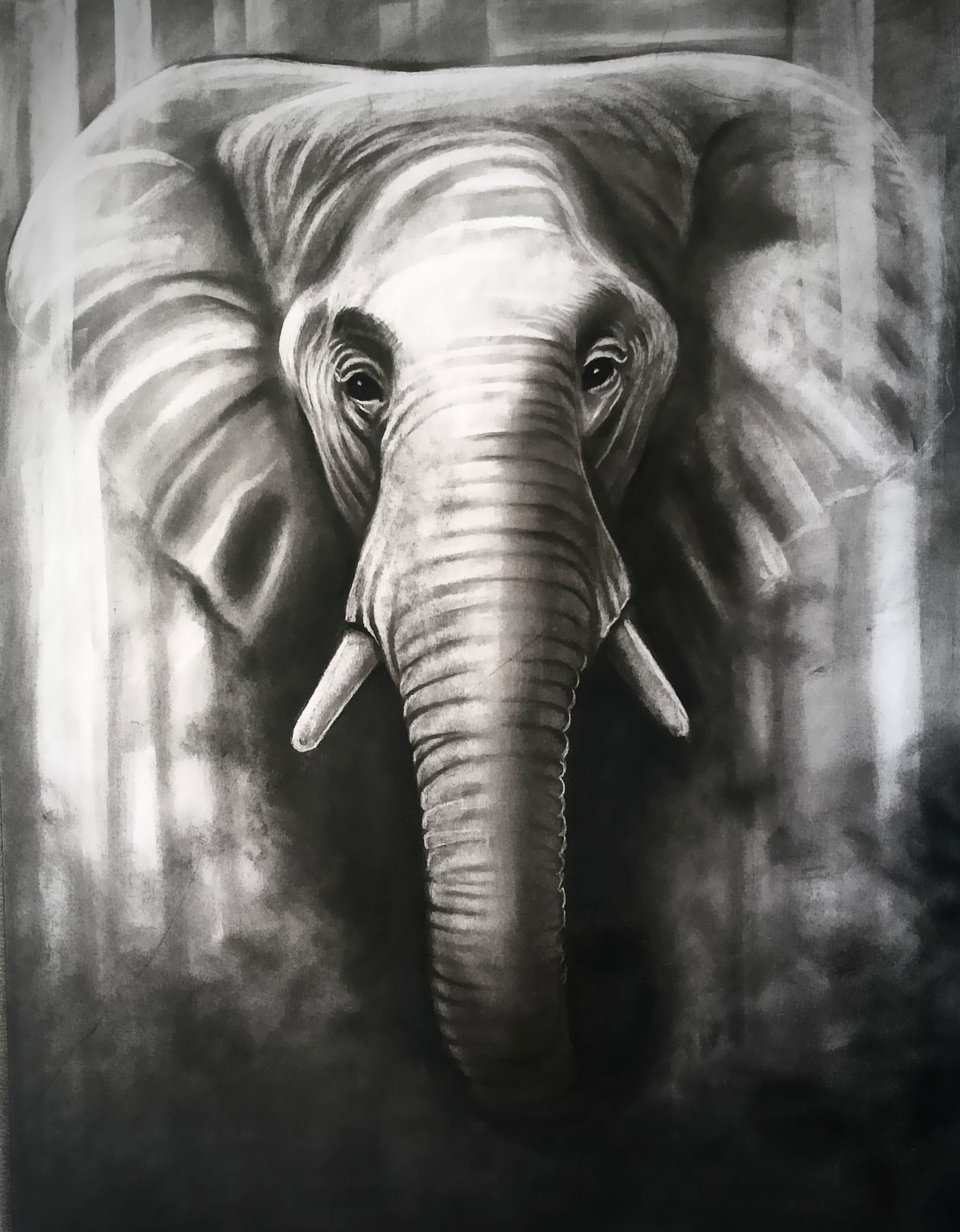 Charcoal Art 7